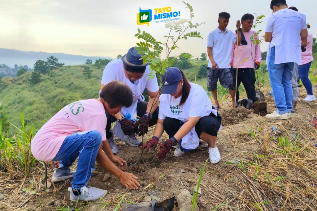 Potting, repotting, and transplanting for reforestation at UPLB