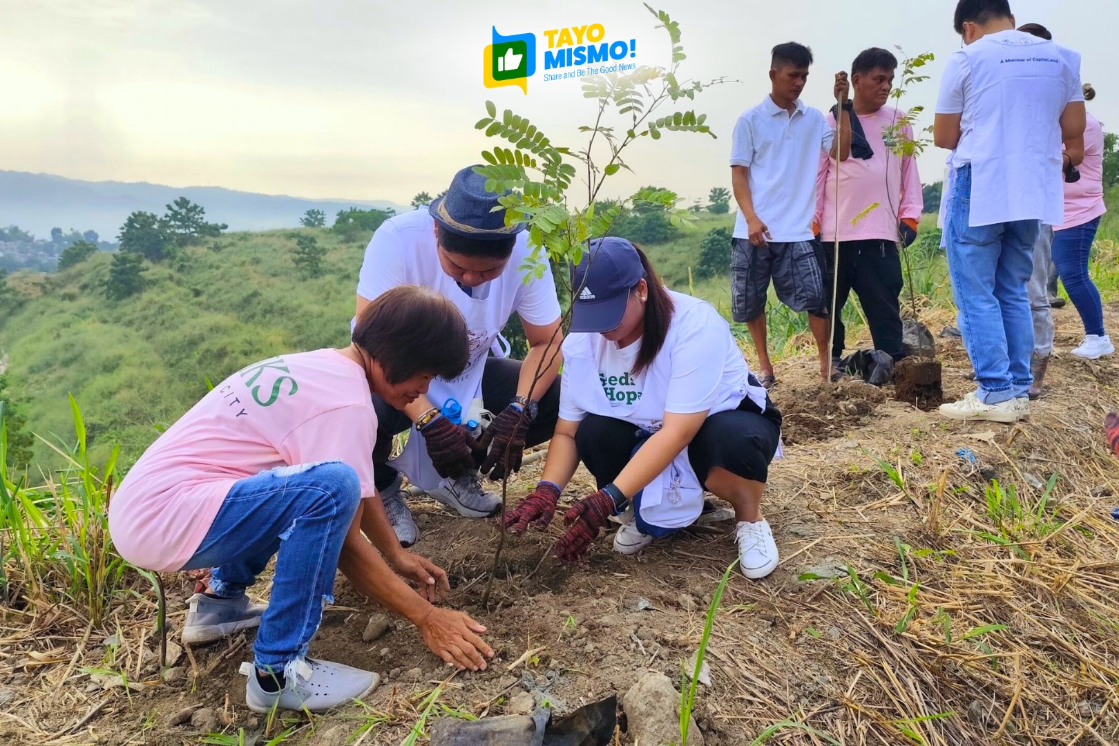 Potting, repotting, and transplanting for reforestation at UPLB