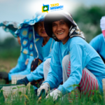 BanKo and Jollibee Group Foundation help Filipino onion farmers grow through accessible financing