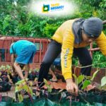 Project Tugdo grows 406 ube seedlings to help farmers and keep Kinampay thriving