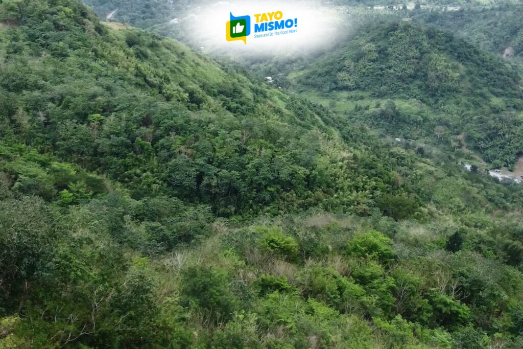 Rebuilding forests, restoring futures in the Sierra Madre 