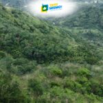 Rebuilding forests, restoring futures in the Sierra Madre 