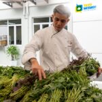 Solaire Resort Quezon City backs urban farmers while preparing future hospitality workers