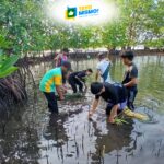 Aklan community plants 50,000 mangrove seedlings