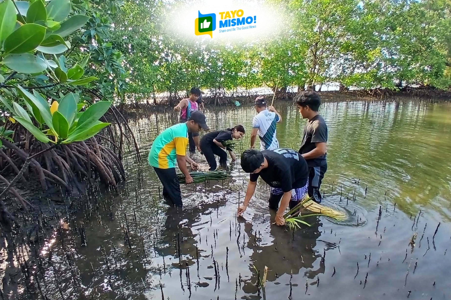 Aklan community plants 50,000 mangrove seedlings
