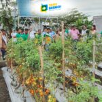 Jollibee Group Foundation and UPLB team up to strengthen support for Filipino farmers