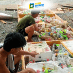 In Alilem, a small community in Ilocos Sur gives plastic waste a second life
