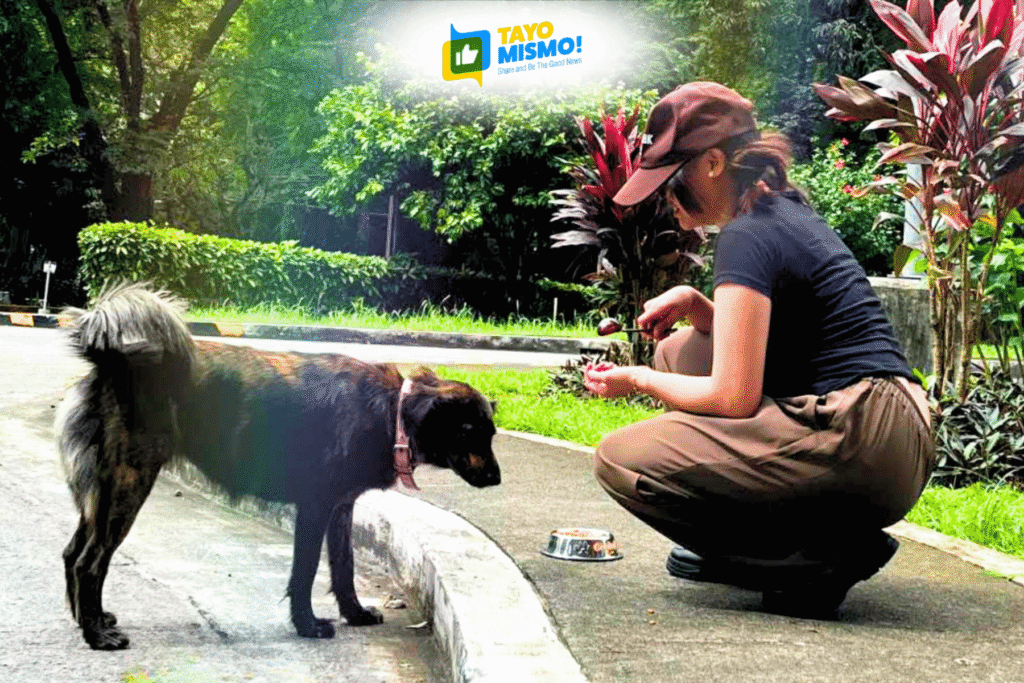 Student-led groups are creating safer campuses for community animals